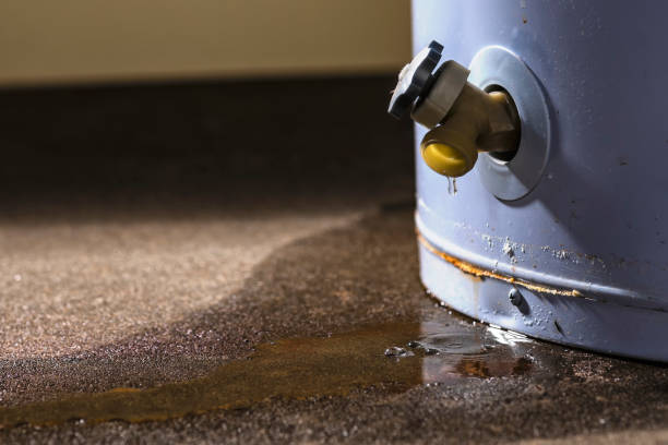 Best Commercial water damage restoration  in Sandy Oaks, TX
