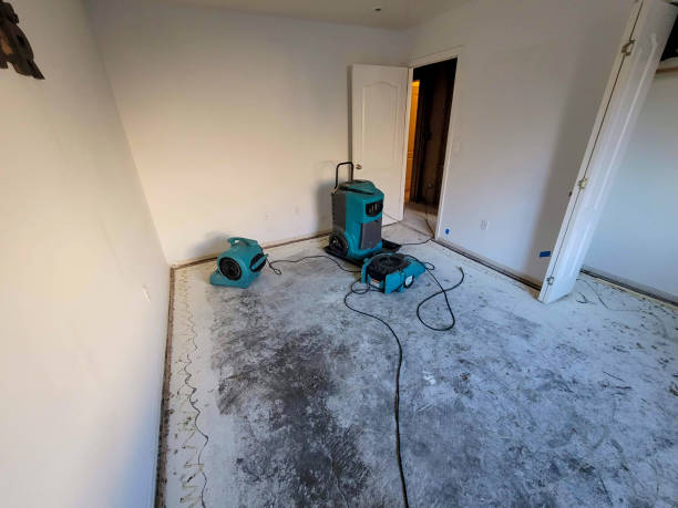 Best 24/7 water damage repair  in Sandy Oaks, TX